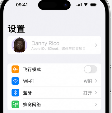 通化appleID维修服务iPhone设置中Apple ID显示为灰色无法使用