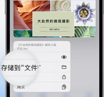 通化apple维修中心分享iPhone文件应用中存储和找到下载文件