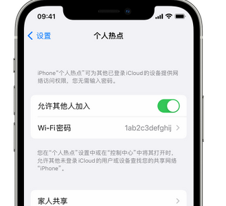 通化apple服务站点分享iPhone上个人热点丢失了怎么办 