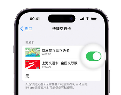 通化apple维修点分享iPhone上更换Apple Pay快捷交通卡手绘卡面 