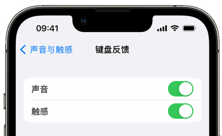 通化苹果手机维修分享iPhone 14触感键盘使用方法 