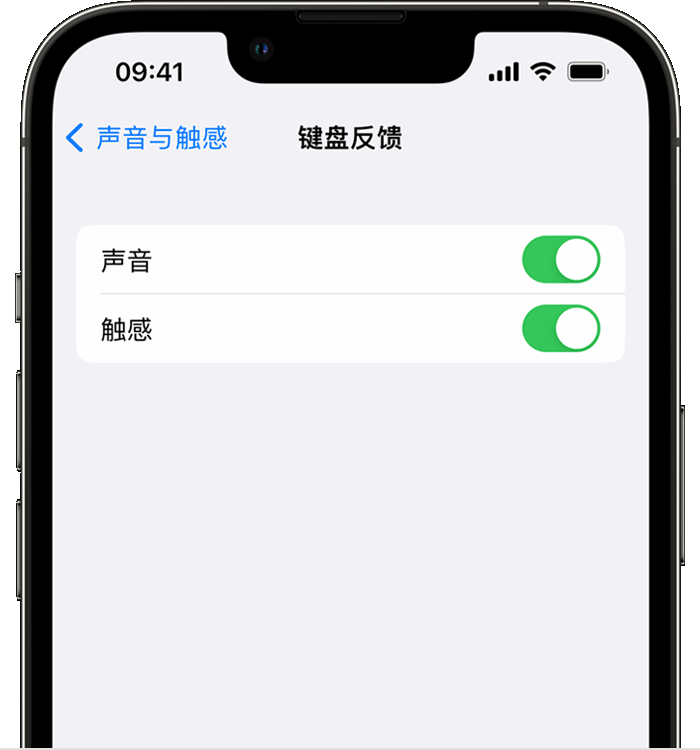 通化苹果14维修店分享如何在 iPhone 14 机型中使用触感键盘 