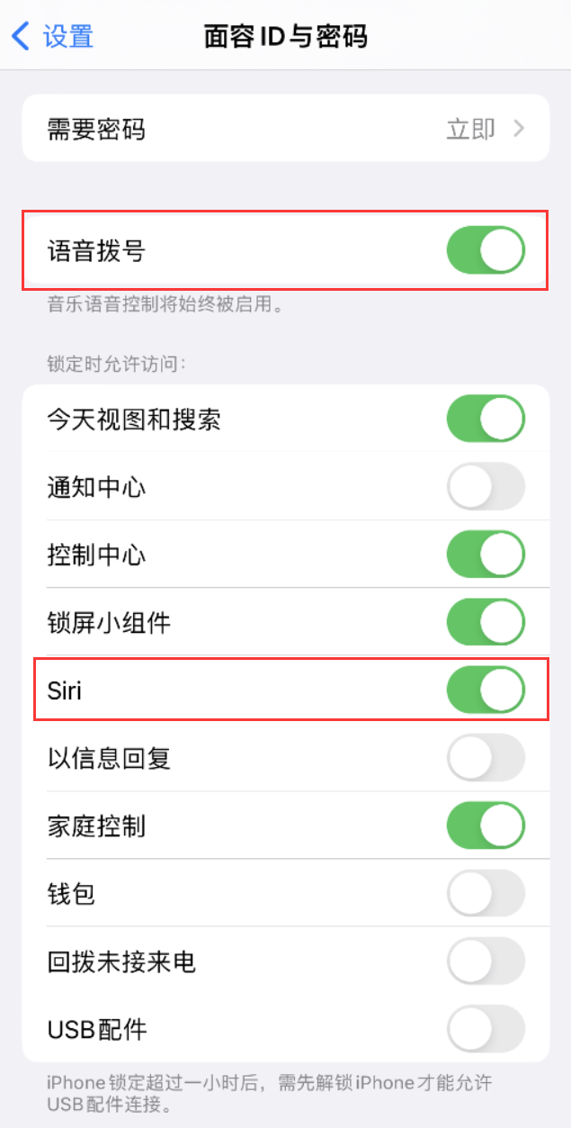 通化苹果维修网点分享不解锁 iPhone 的情况下通过 Siri 拨打电话的方法 