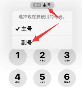 通化苹果14维修店分享iPhone 14 Pro Max使用副卡打电话的方法 