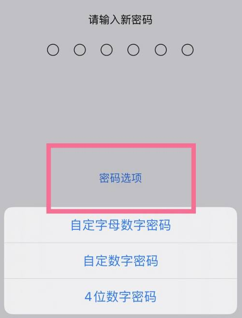 通化苹果14维修分享iPhone 14plus设置密码的方法 