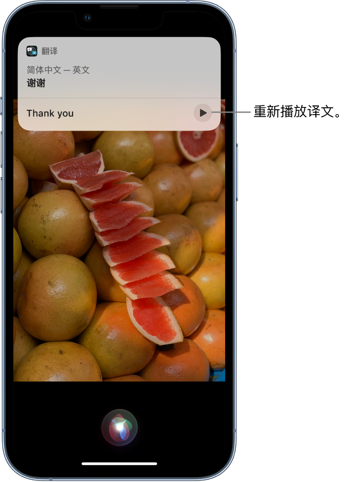 通化苹果14维修分享 iPhone 14 机型中使用 Siri：了解 Siri 能帮你做什么 