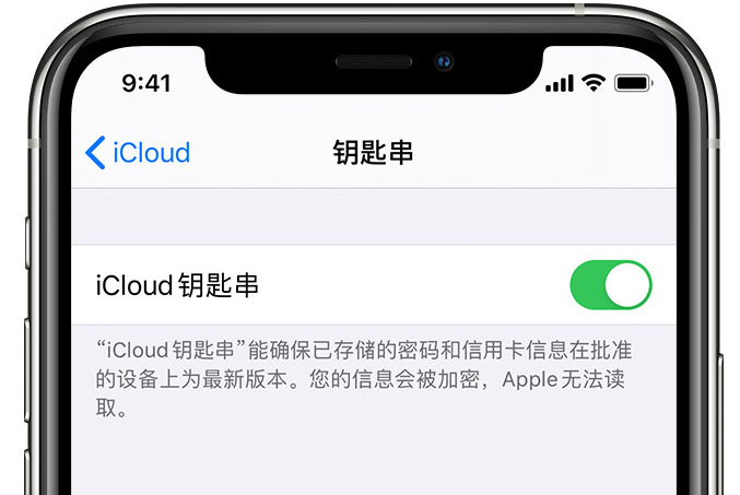 通化苹果手机维修分享在 iPhone 上开启 iCloud 钥匙串之后会储存哪些信息 