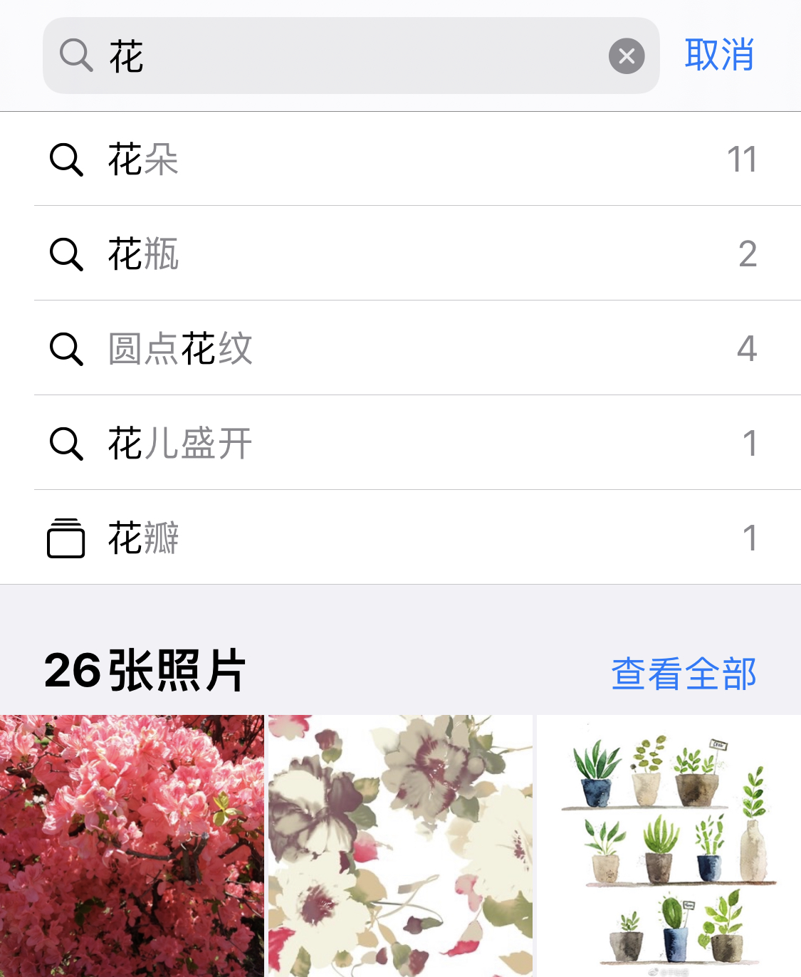 通化苹果手机维修分享iPhone 小技巧 