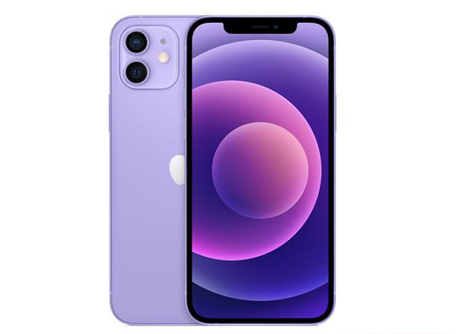 通化苹果手机维修分享现阶段要不要入手紫色版iPhone12 