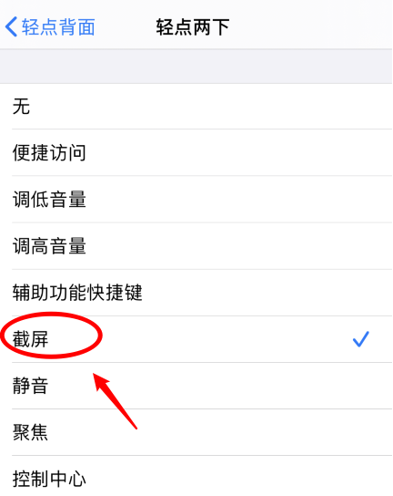 通化苹果手机维修分享iPhone12如何启用双击截屏 