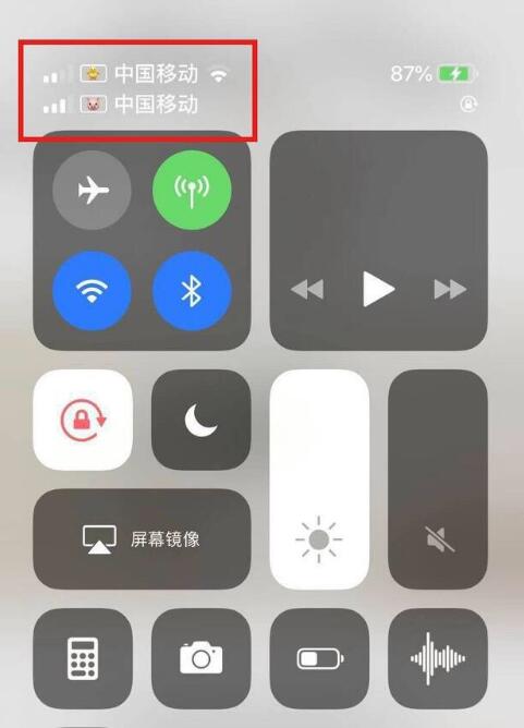 通化苹果手机维修分享为 iPhone 12 双卡设置标签 