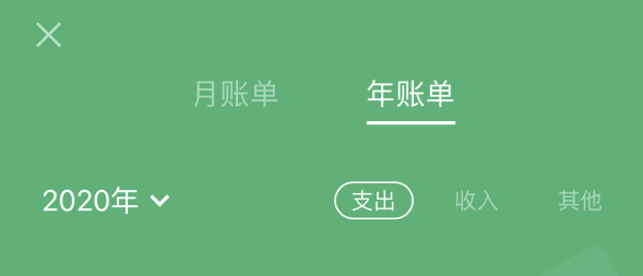 通化苹果手机维修分享如何在 iPhone 上查看支付宝和微信年支出账单 