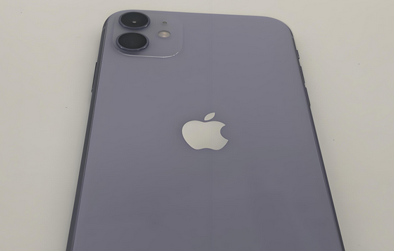 通化苹果11系统维修分享iPhone11手机系统崩溃无法开机如何解决